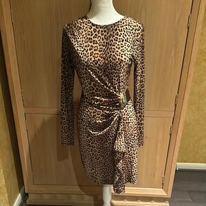 Leopard Print Long Sleeve Dress